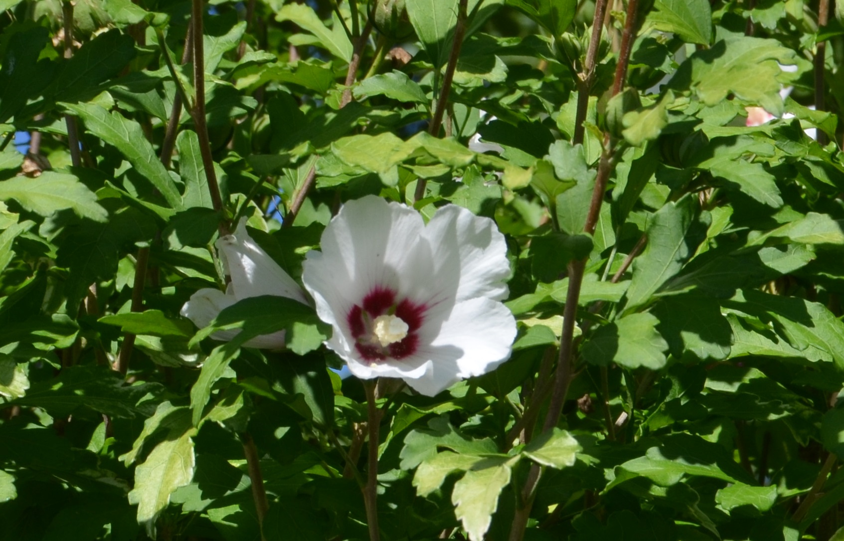 No s'ha trobat l'arxiu